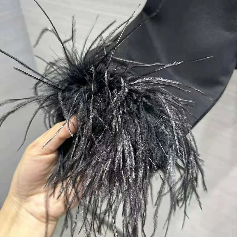 Prada Crew-neck Sweatshirt with Feather Trim for Women in Black