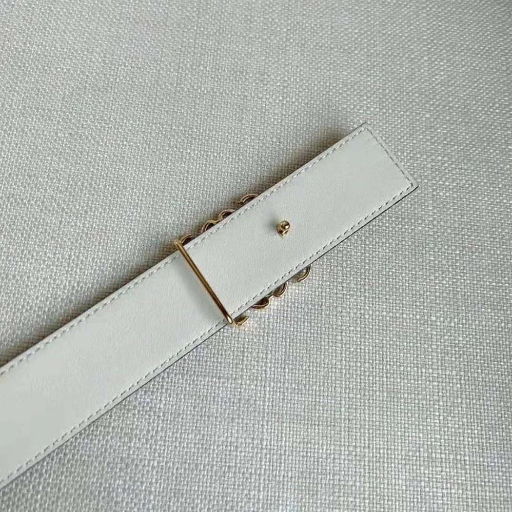 Loewe Reversible Repeat Belt in Silk Calfskin for Unisex in White