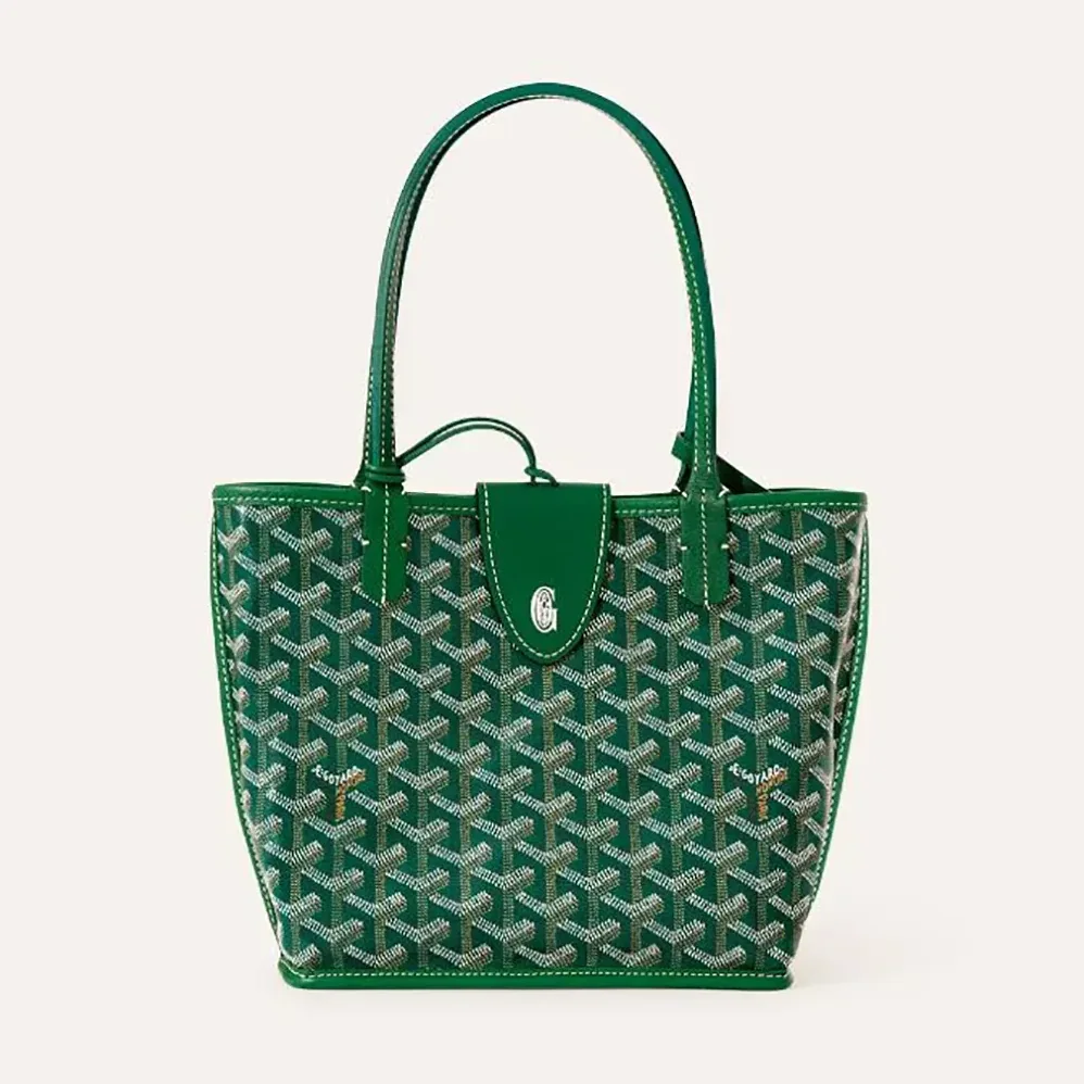 Goyard Anjou Mini Bag for Unisex in Green