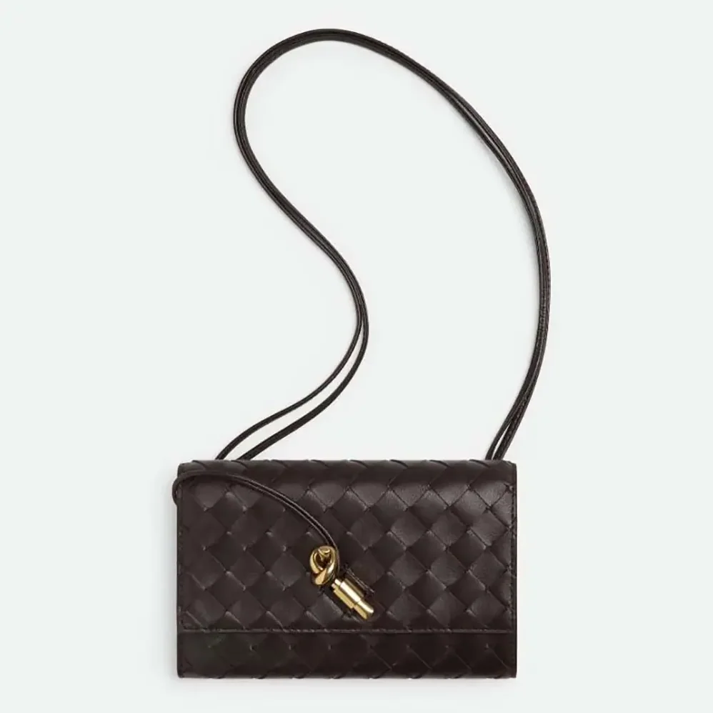 Bottega Veneta Andiamo Pouch for Women in Bordeaux Bottega Veneta Andiamo Pouch for Women in Bordeaux