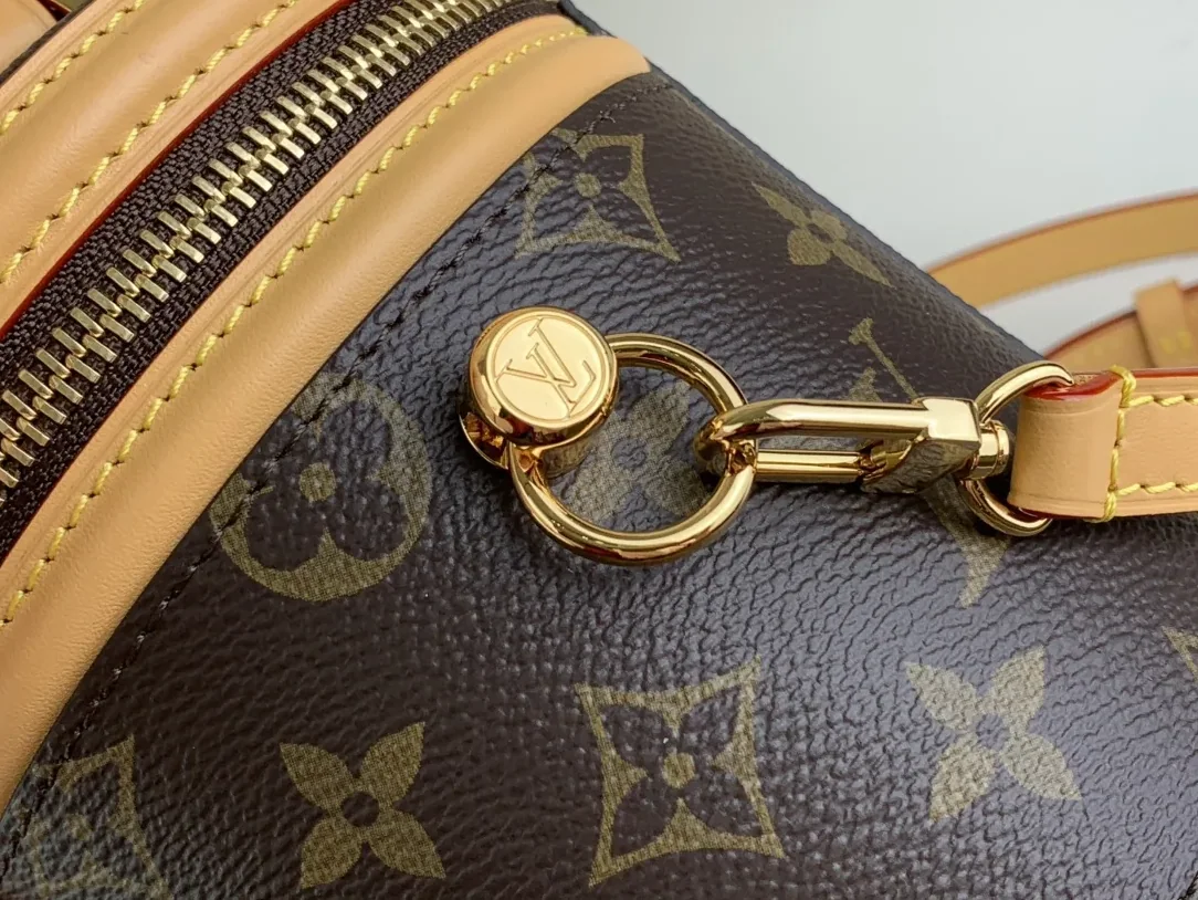 Louis Vuitton Nano Cannes Handbags Brown /