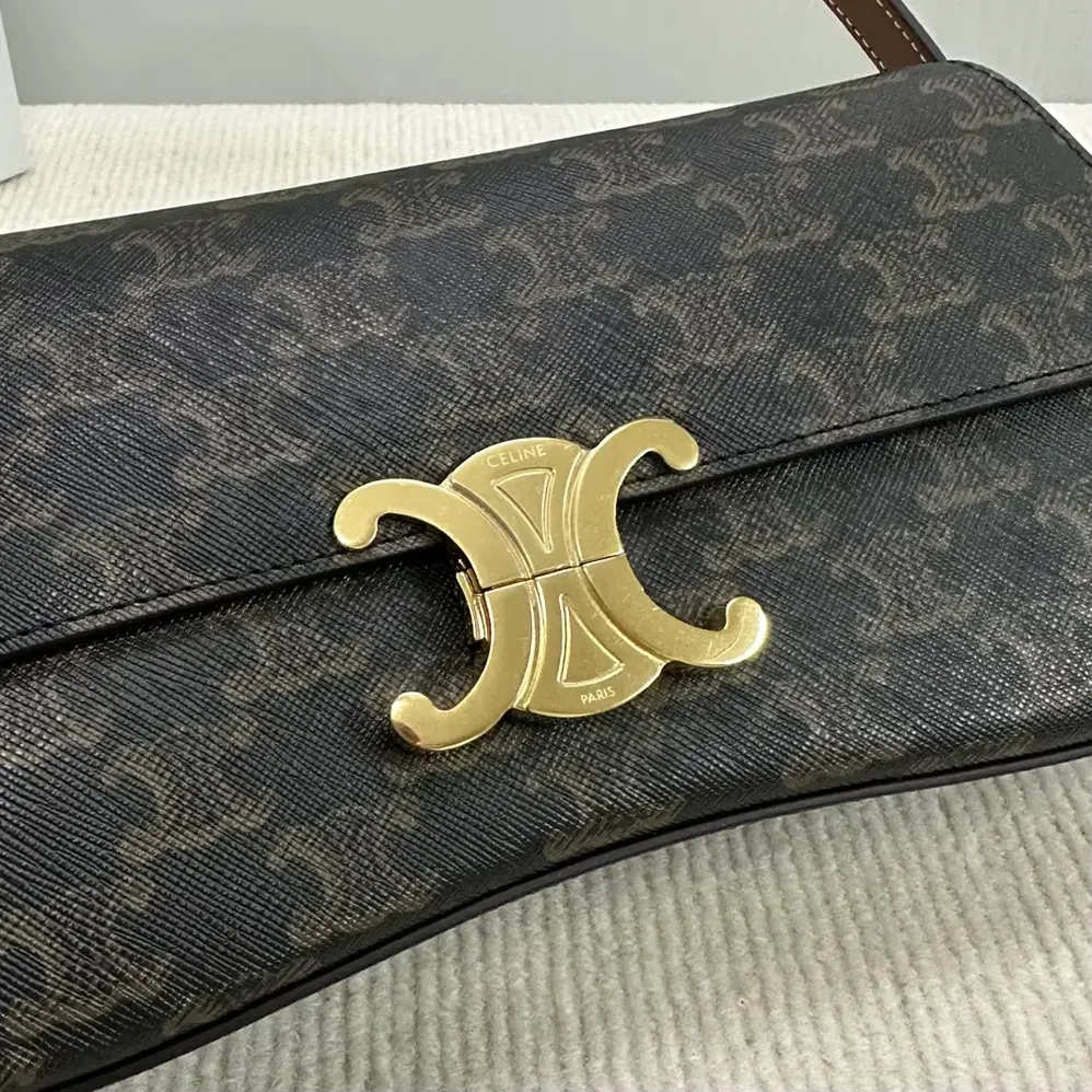 Celine Medium Celine Lola Bag in Triomphe Canvas and Calfskin for Women