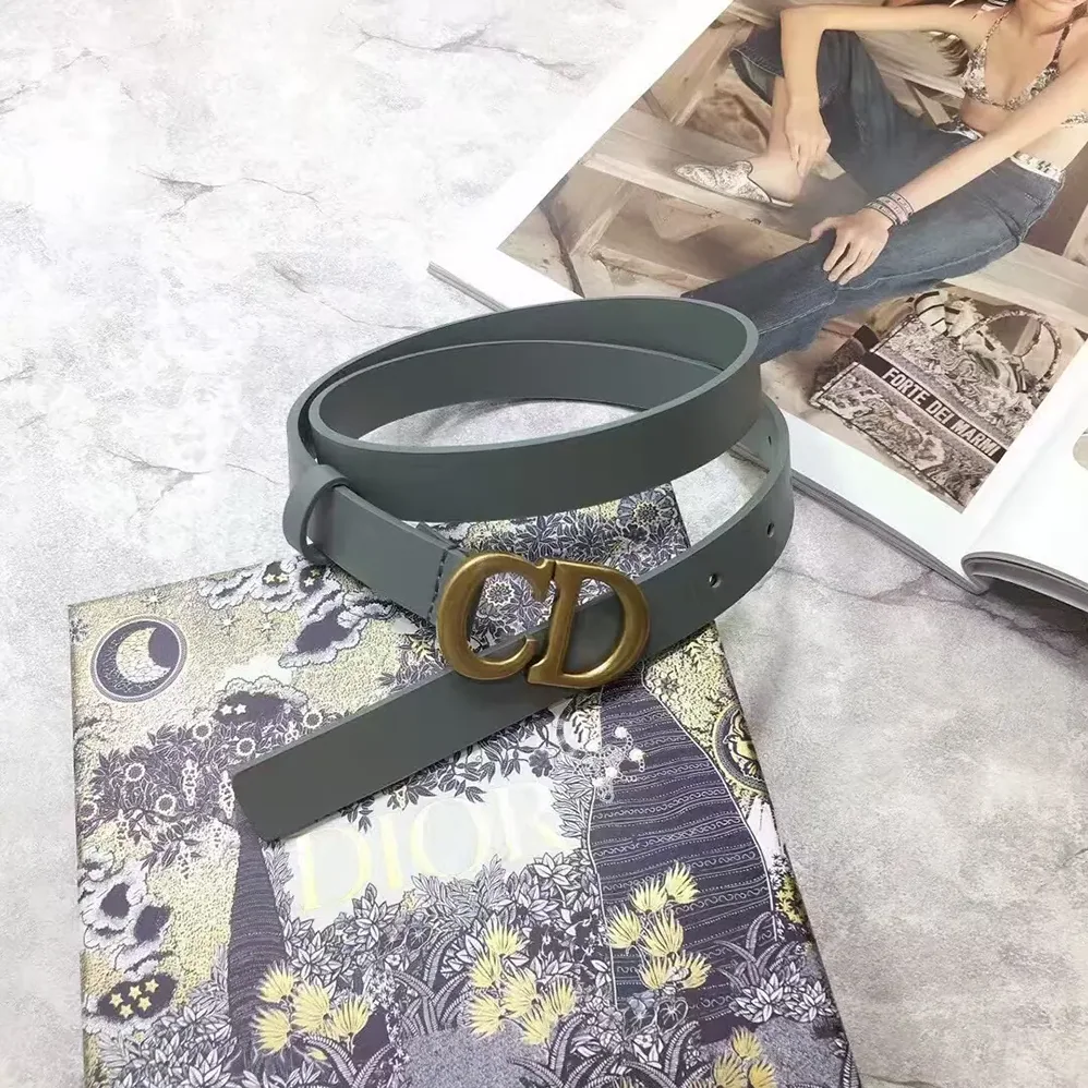 Dior Saddle Belt Gray Ultrasoft Calfskin 20 MM for Women Dior Saddle Belt Gray Ultrasoft Calfskin 20 MM for Women