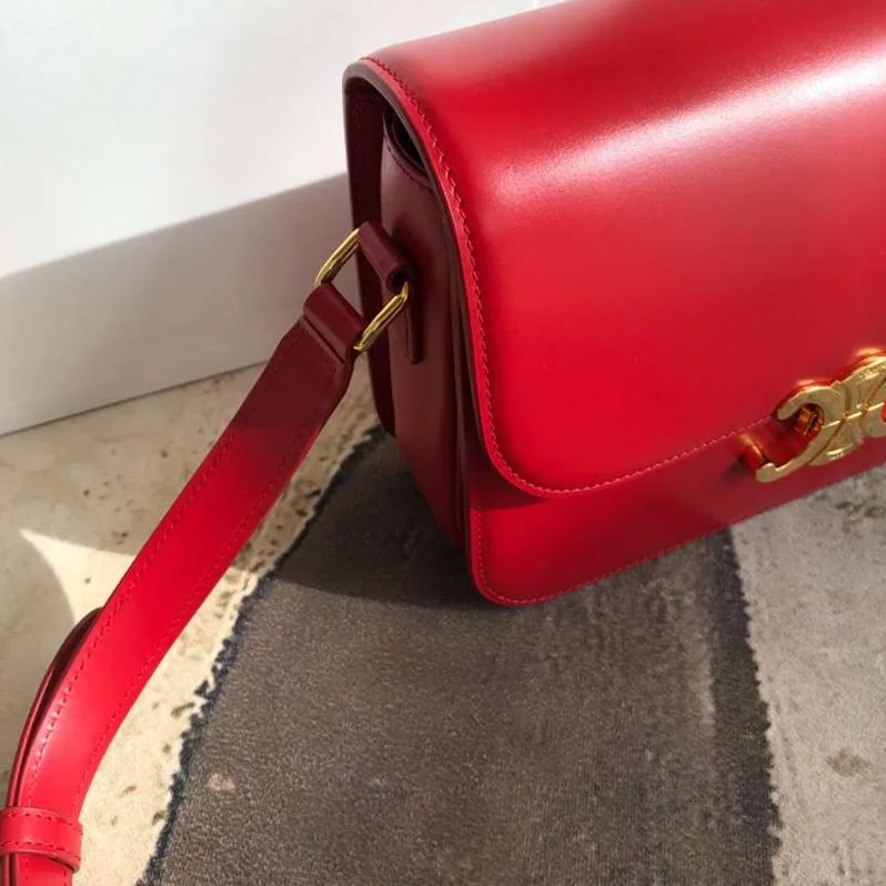 Celine Lady Medium Triomphe Bag in Shiny Calfskin Celine Lady Medium Triomphe Bag in Shiny Calfskin