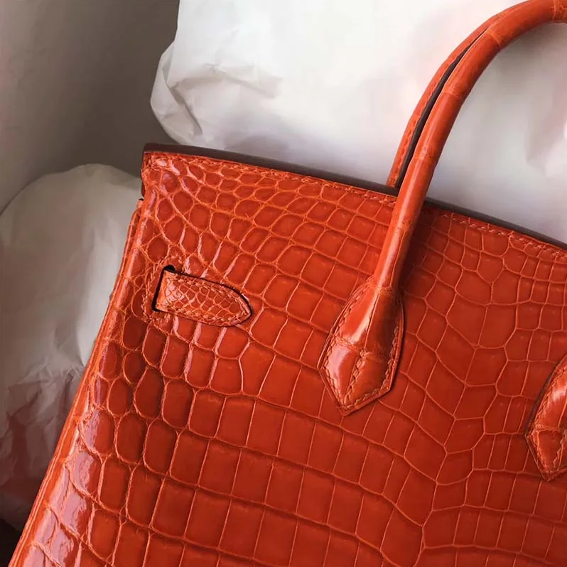 Hermes Birkin 30 Bag in Alligator Leather with Gold Hardware in Orange