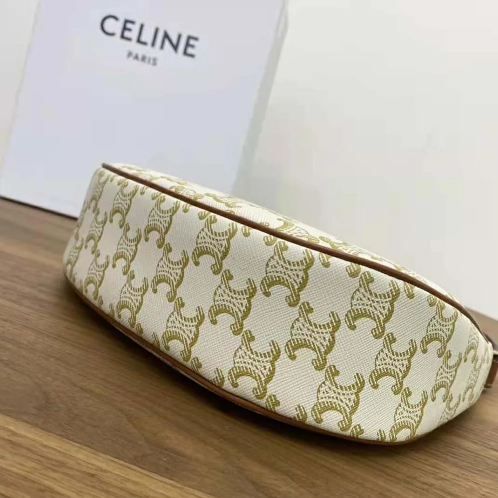 Celine Ava Bag in Triomphe Canvas and Calfskin for Women