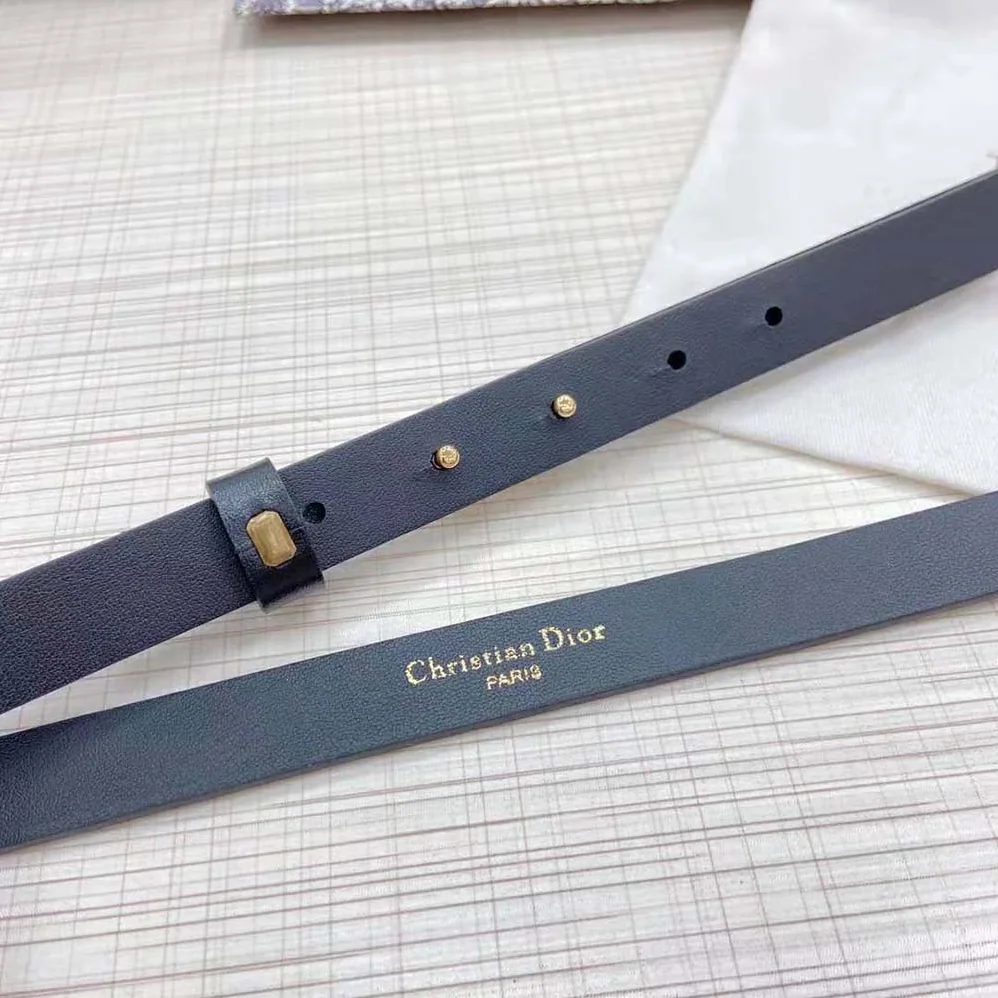 Dior Caro Belt Black Smooth Calfskin with Shiny Gold-Finish Metal 15 MM for Women Dior Caro Belt Black Smooth Calfskin with Shiny Gold-Finish Metal 15 MM for Women