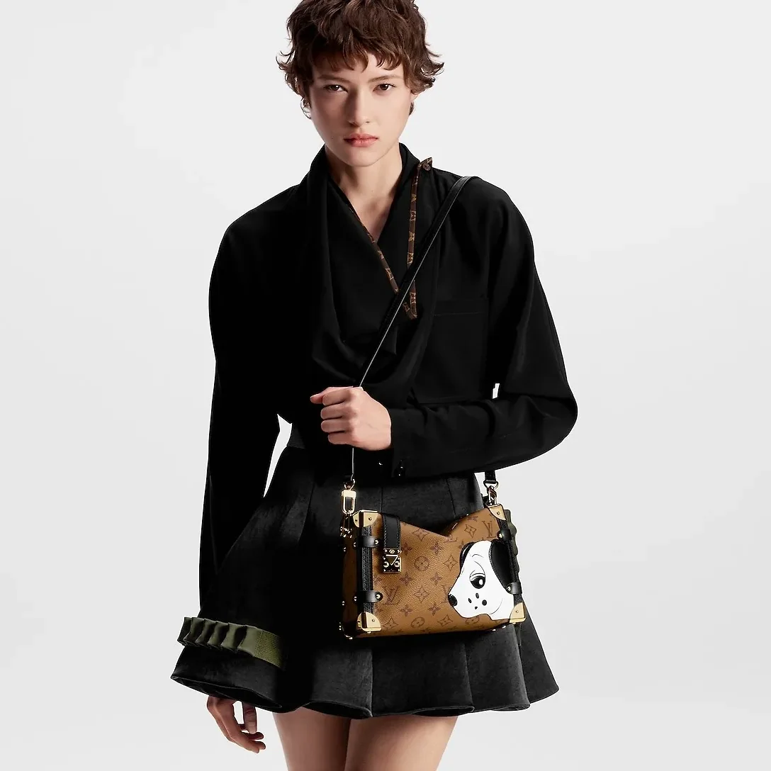 Louis Vuitton Side Trunk MM Bag Brown / Louis Vuitton Side Trunk MM Bag Brown /