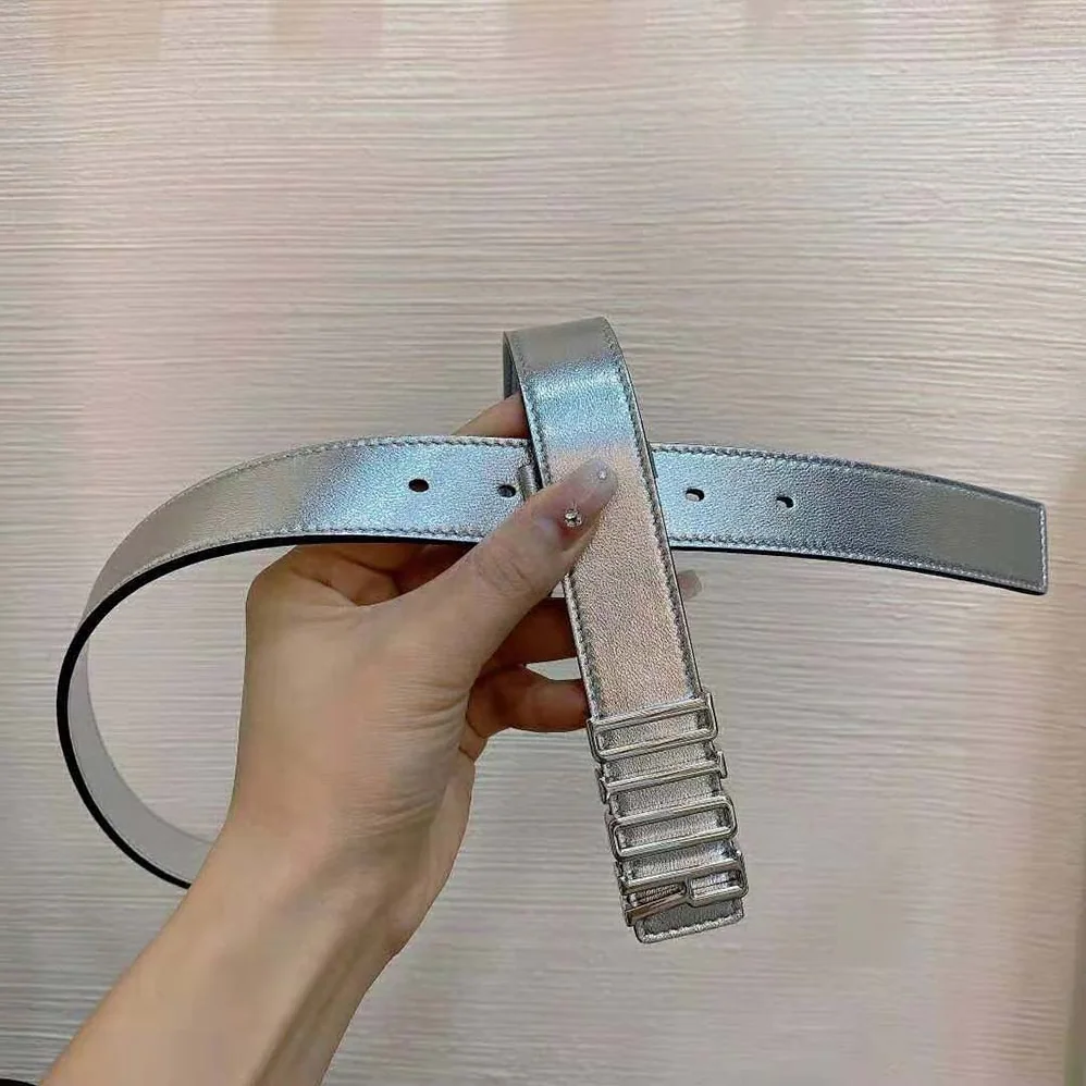 Dior D-Fence Belt Silver-Tone Laminated Crinkled Calfskin 30 MM for Women Dior D-Fence Belt Silver-Tone Laminated Crinkled Calfskin 30 MM for Women