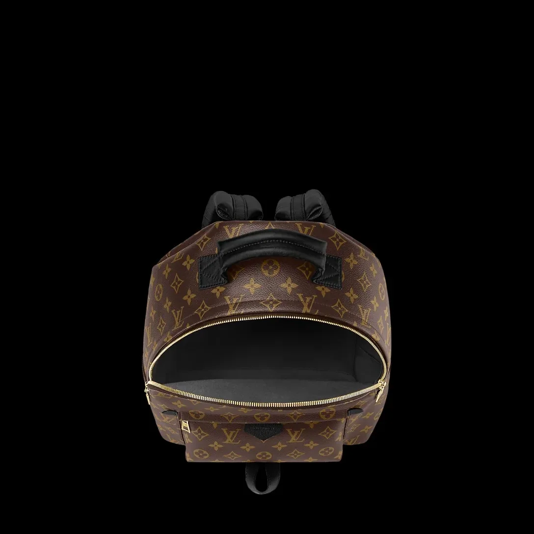 Louis Vuitton Palm Springs Mini Backpack - / Louis Vuitton Palm Springs Mini Backpack - /