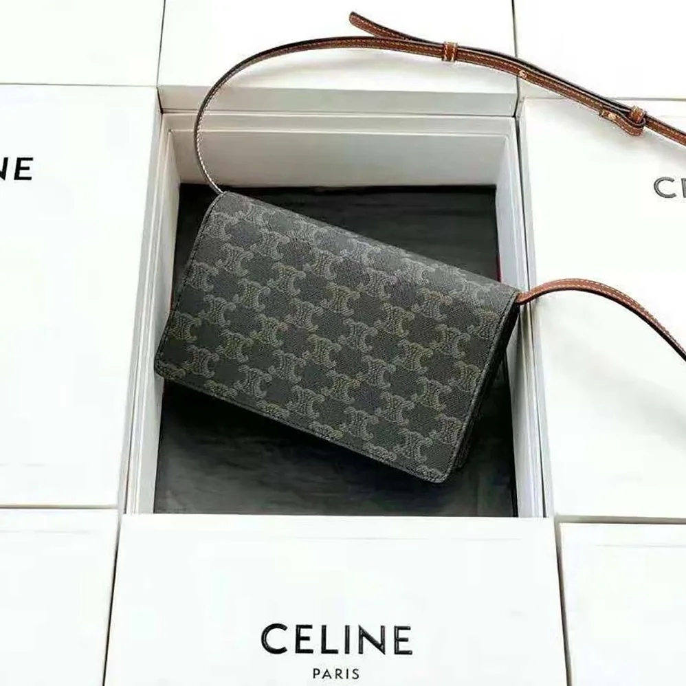 Celine Wallet on Strap in Triomphe Canvas and Smooth Lambskin for Women in Tan