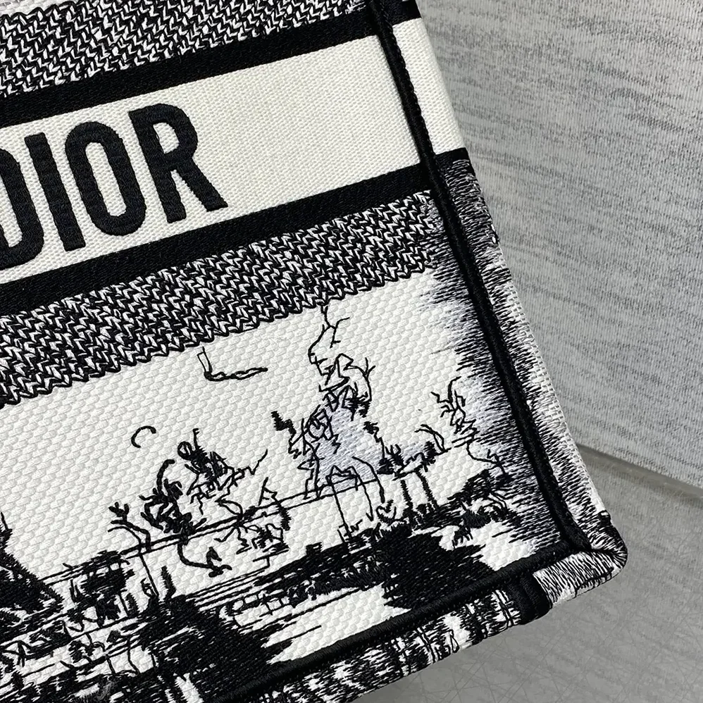 Dior Medium Dior Book Tote White and Black Paris Embroidery for Women