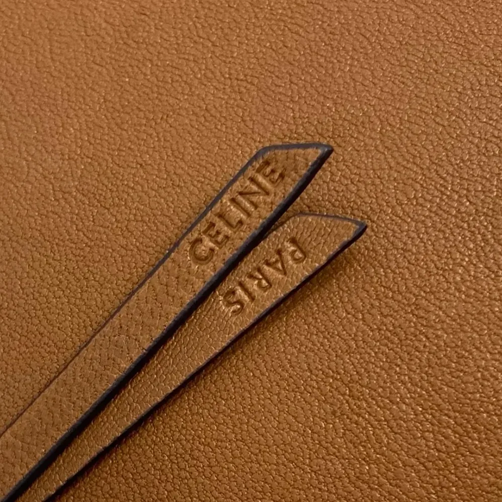 Celine Soft Triomphe Besace in Supple Shiny Lambskin for Women in Brown Celine Soft Triomphe Besace in Supple Shiny Lambskin for Women in Brown