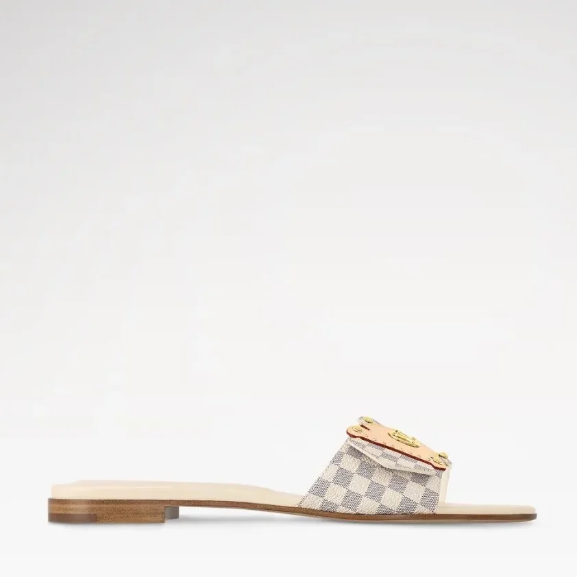 Louis Vuitton LV Frame Flat Mule Damier Canvas 1AHLPS