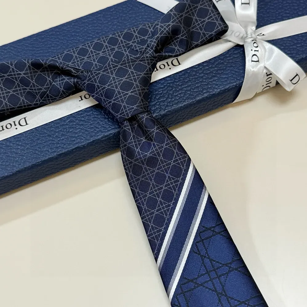 Dior Striped Cannage Tie Navy Blue Gray and White Silk for Men