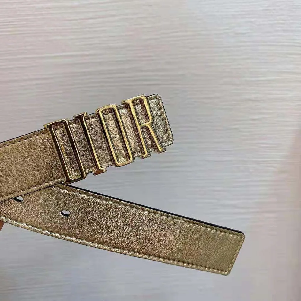 Dior D-Fence Belt Gold-Tone Laminated Crinkled Calfskin 30 MM for Women Dior D-Fence Belt Gold-Tone Laminated Crinkled Calfskin 30 MM for Women