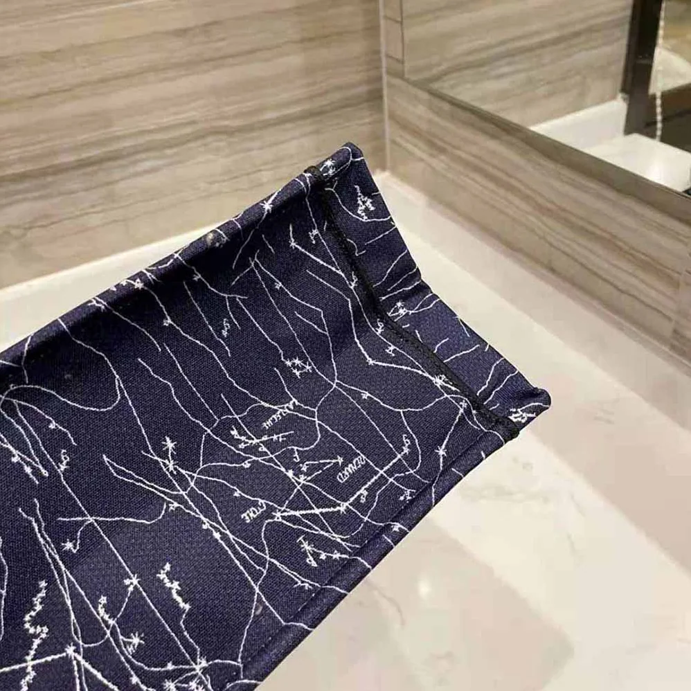 Dior Small Dior Book Tote Blue Dior Constellation Embroidery for Women