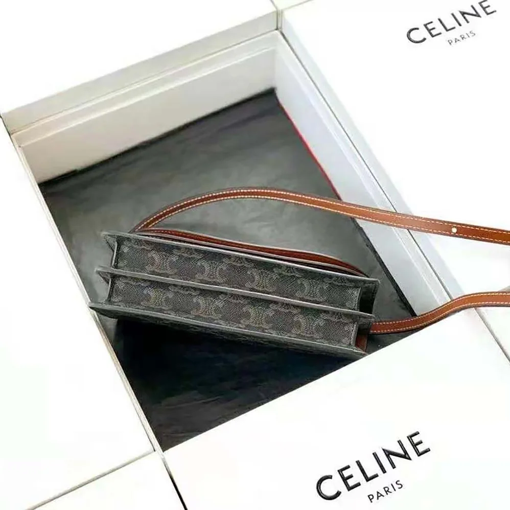 Celine Wallet on Strap in Triomphe Canvas and Smooth Lambskin for Women in Tan