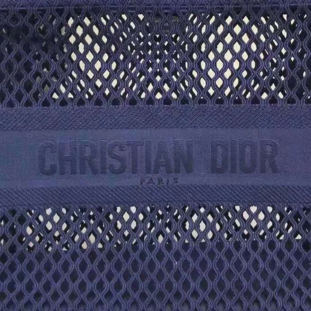 Dior Small Dior Book Tote Blue Mesh Embroidery for Women