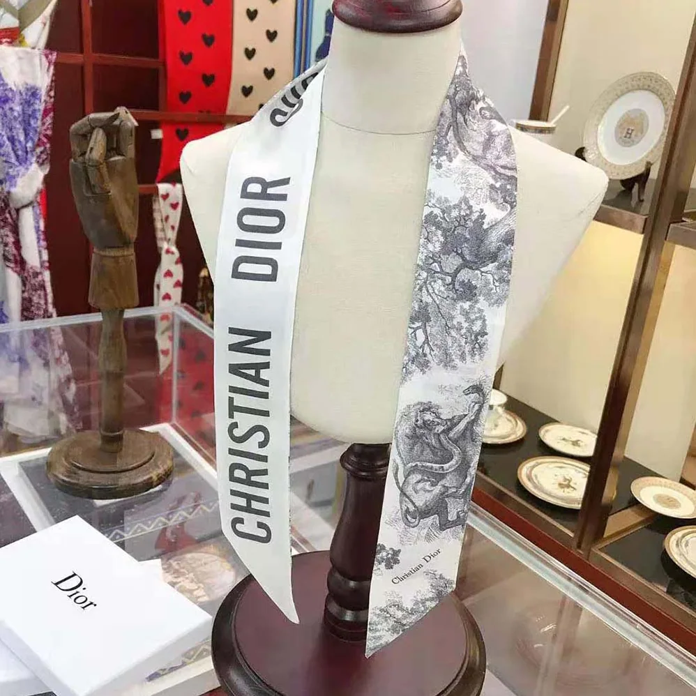 Dior Toile DE Jouy Mitzah Scarf Silk Twill for Women in Silver