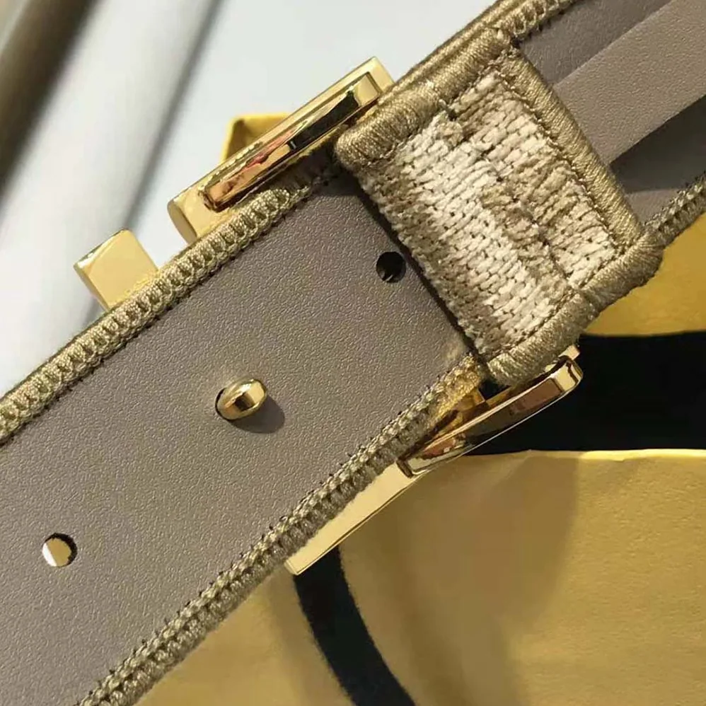 Fendi Brown Fabric Belt for Women