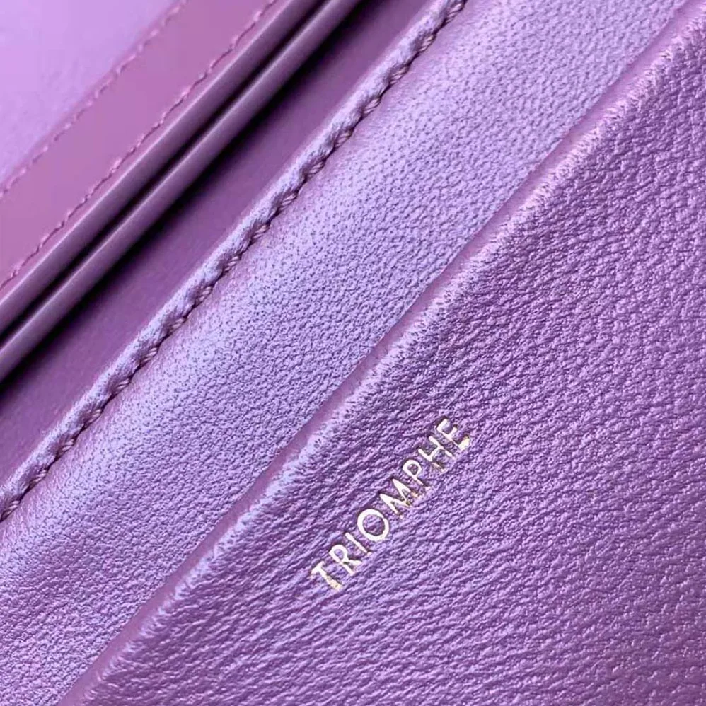 Celine Trapeze Triomphe Bag in Shiny Calfskin for Women in Purple