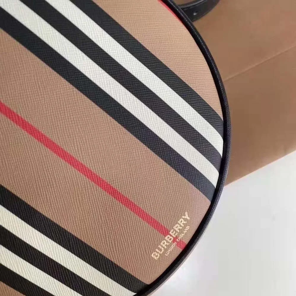 Burberry Icon Stripe E-canvas Louise Bag for Women in Brown
