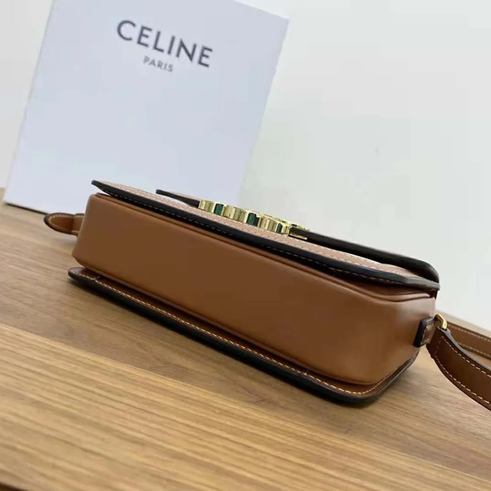 Celine Teen Triomphe Bag in Triomphe Canvas and Calfskin for Women
