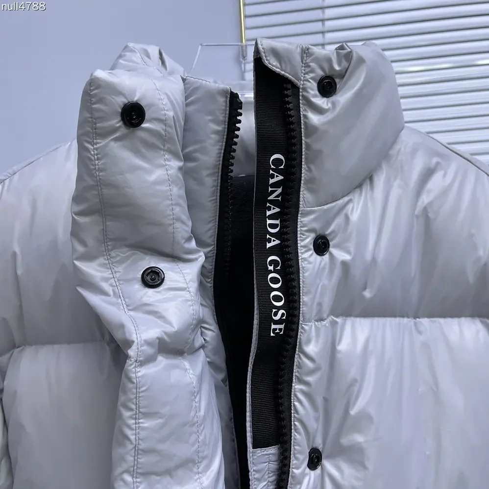 Canada Goose Cypress Cropped Puffer in Recycled Feather-Light Ripstop Shiny for Women in Silverbirch