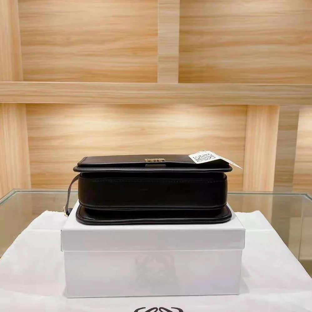 Loewe Goya Bag in Silk Calfskin for Women in Black
