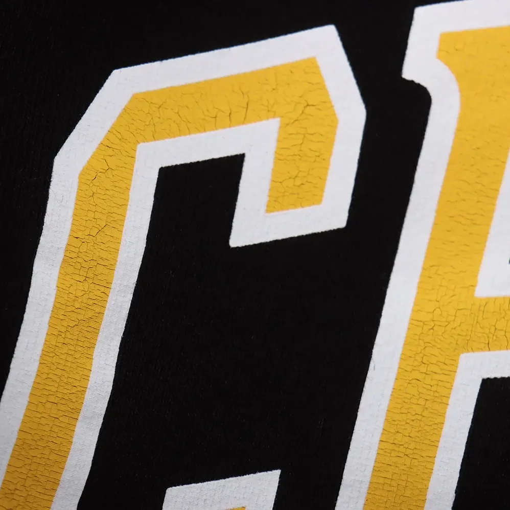 Celine Loose Hoodie in Cotton Fleece for Men Celine Loose Hoodie in Cotton Fleece for Men
