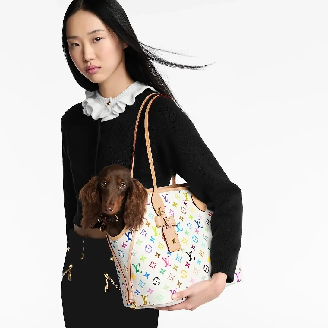 Louis Vuitton LV x TM Neverwoof Tote Bag in Multicolored Gold Hardware