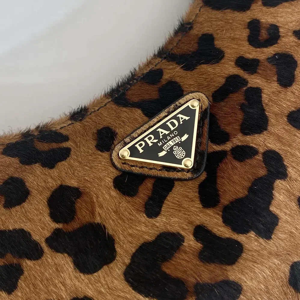 Prada Re-Edition Printed Leather Mini for Women in bag