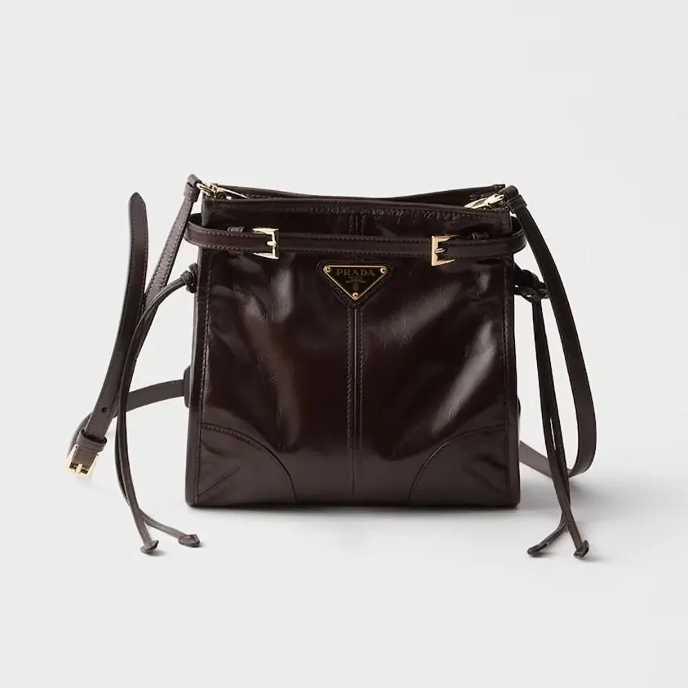 Prada Bonnie Leather Mini Shoulder Bag for Women in Dark Brown Prada Bonnie Leather Mini Shoulder Bag for Women in Dark Brown