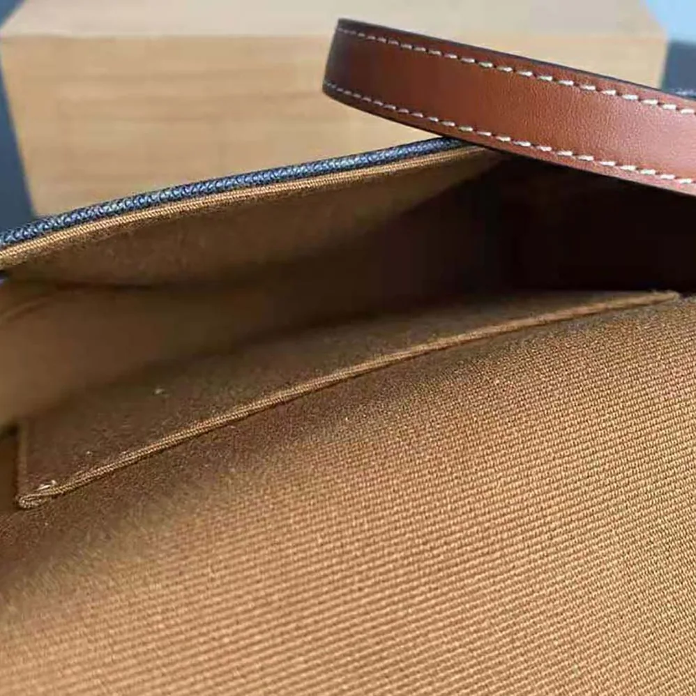 Celine Mini Besace in Triomphe Canvas and Calfskin for Women in Brown