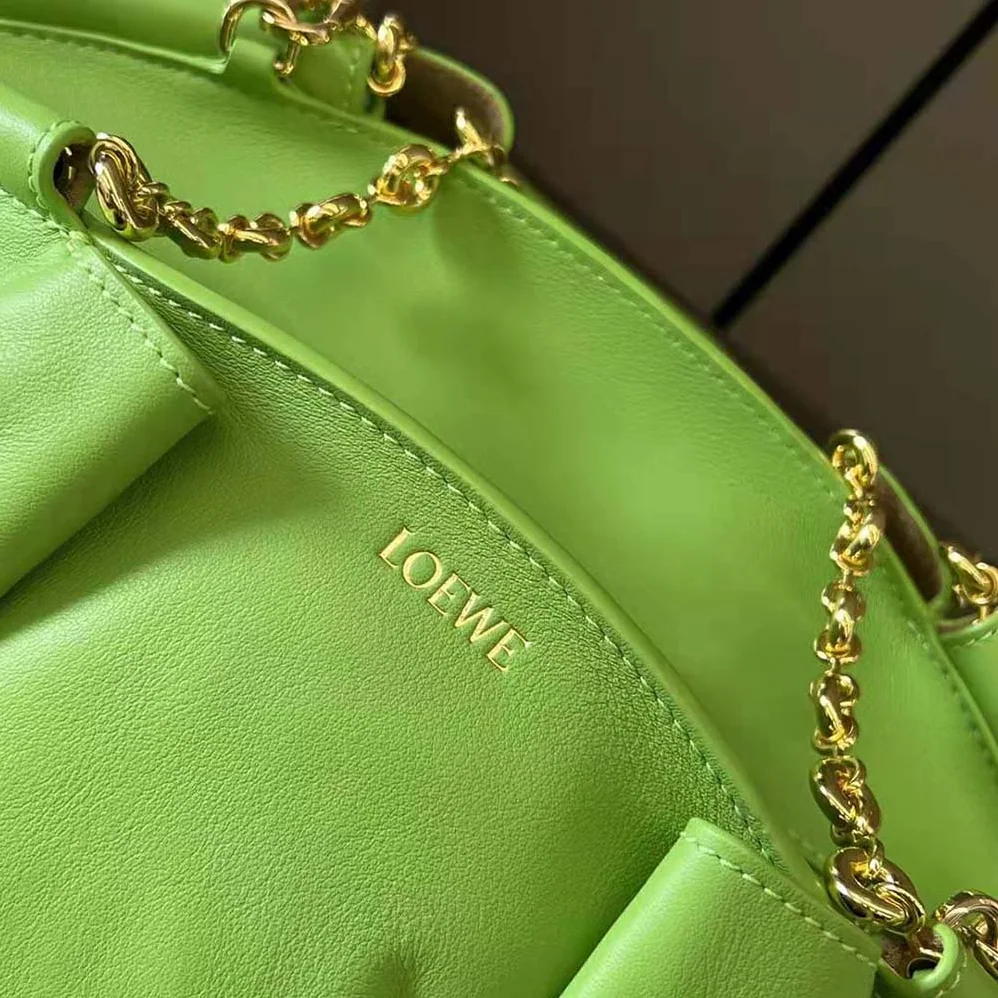 Loewe Small Paseo Bag in Shiny Nappa Calfskin with Chain for Women in Green