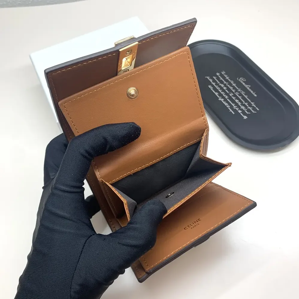 Celine Small Trifold Wallet 16 in Satinated Calfskin for Women in Brown