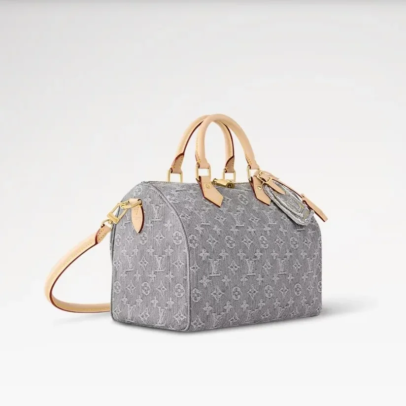 Louis Vuitton Speedy Soft 30 Top Handle Bag in Washed Gray Gold Hardware