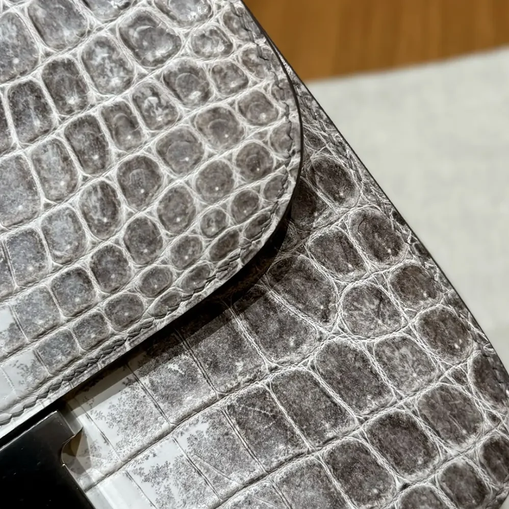 Hermes Constance 24 Himalaya Matte Niloticus Crocodile Palladium Hardware for Women