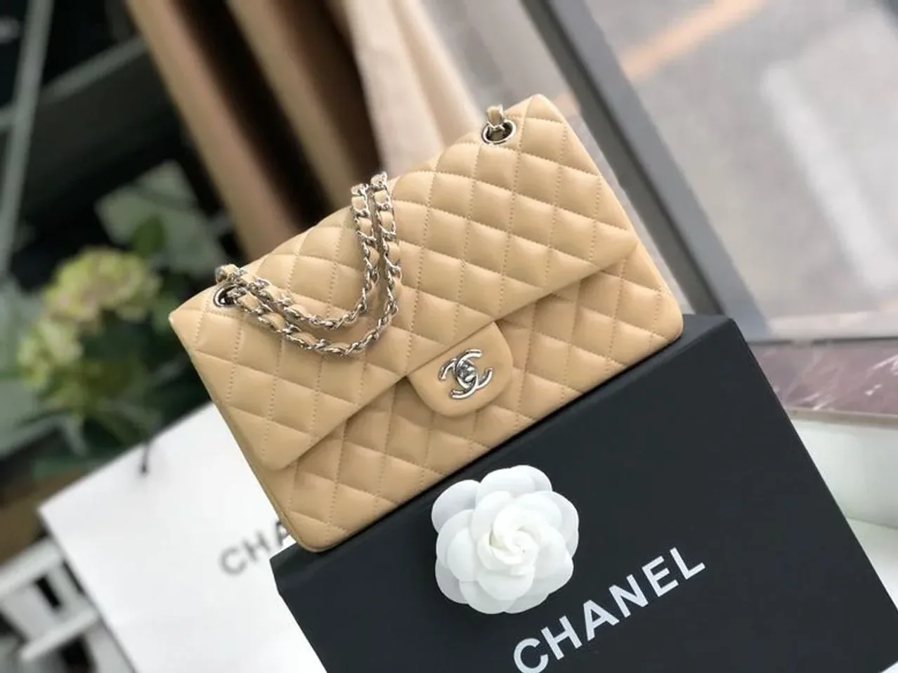 Chanel Classic Double Flap Bag Medium Crossbody in Beige Silver Hardware