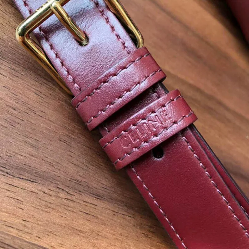 Celine Medium Triomphe Bag in Shiny Calfskin for Women in Maroon