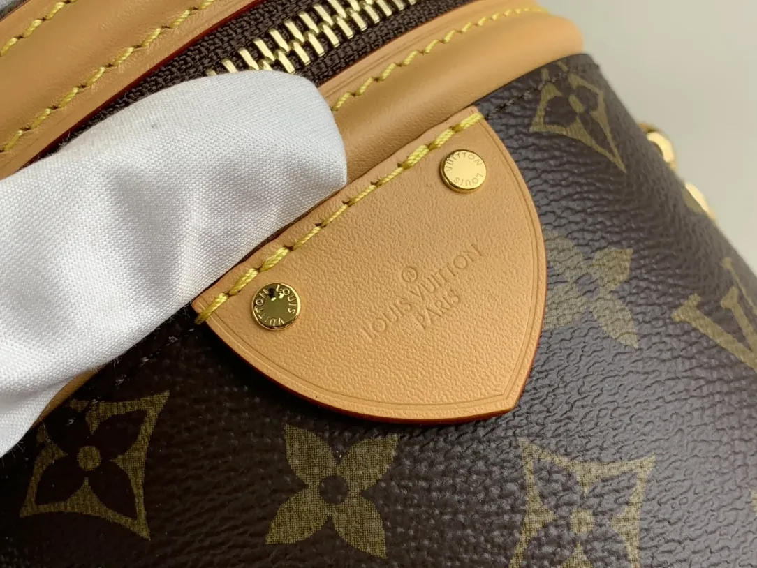 Louis Vuitton Nano Cannes Handbags Brown /