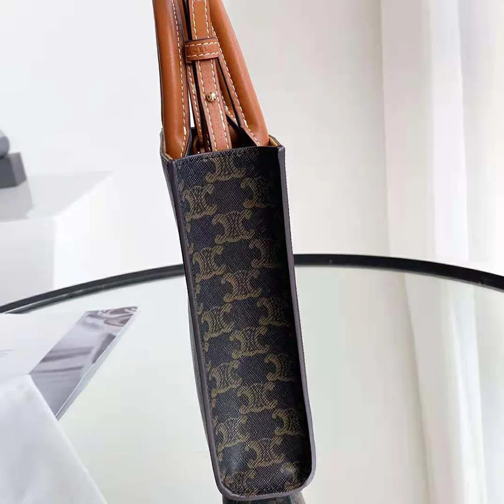 Celine Mini Vertical Cabas in Triomphe Canvas for Women