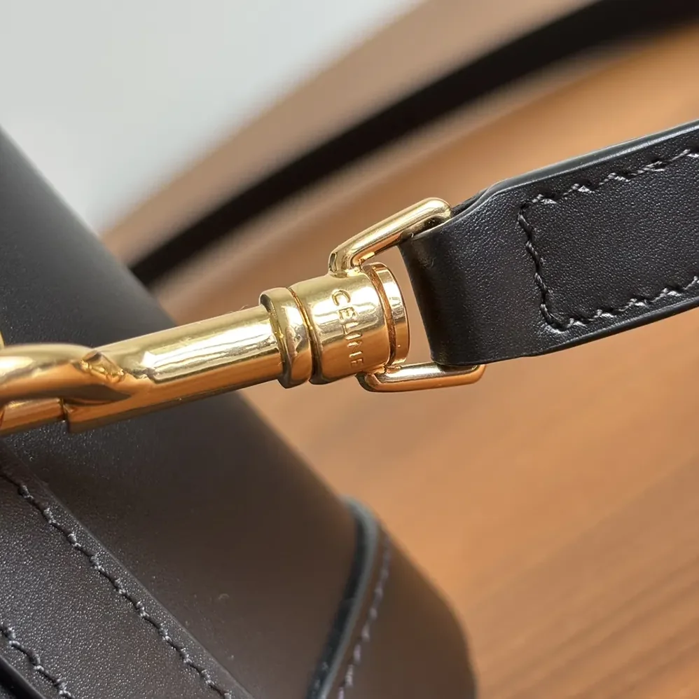 Celine Vanity in Smooth Satinated Calfskin for Unisex in Black