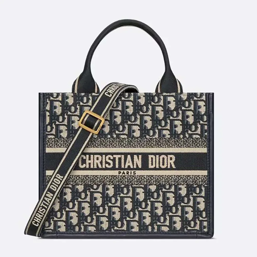 Dior Small Dior Book Tote Blue Dior Oblique Embroidery and Calfskin for Women