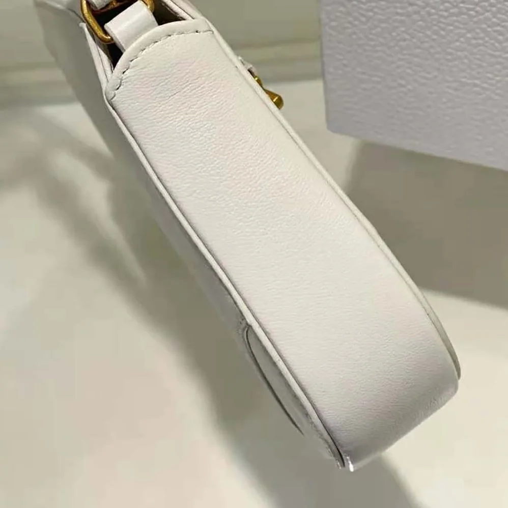 Dior Saddle Shoulder Pouch Latte Goatskin for Women