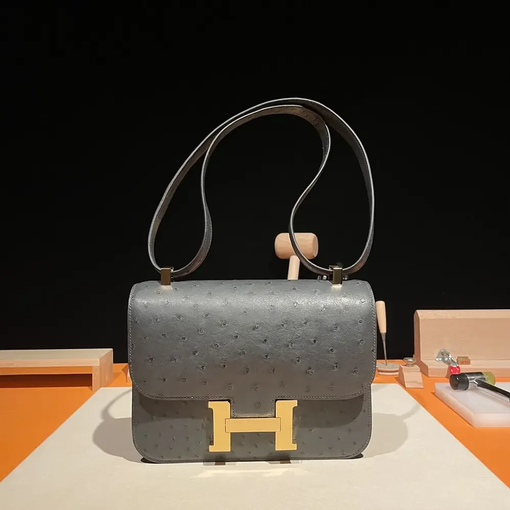Hermes Constance 24 Bag Nata Ostrich Leather for Women in Silver/Gold