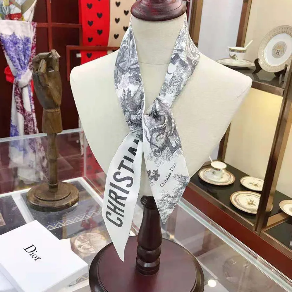 Dior Toile DE Jouy Mitzah Scarf Silk Twill for Women in Silver