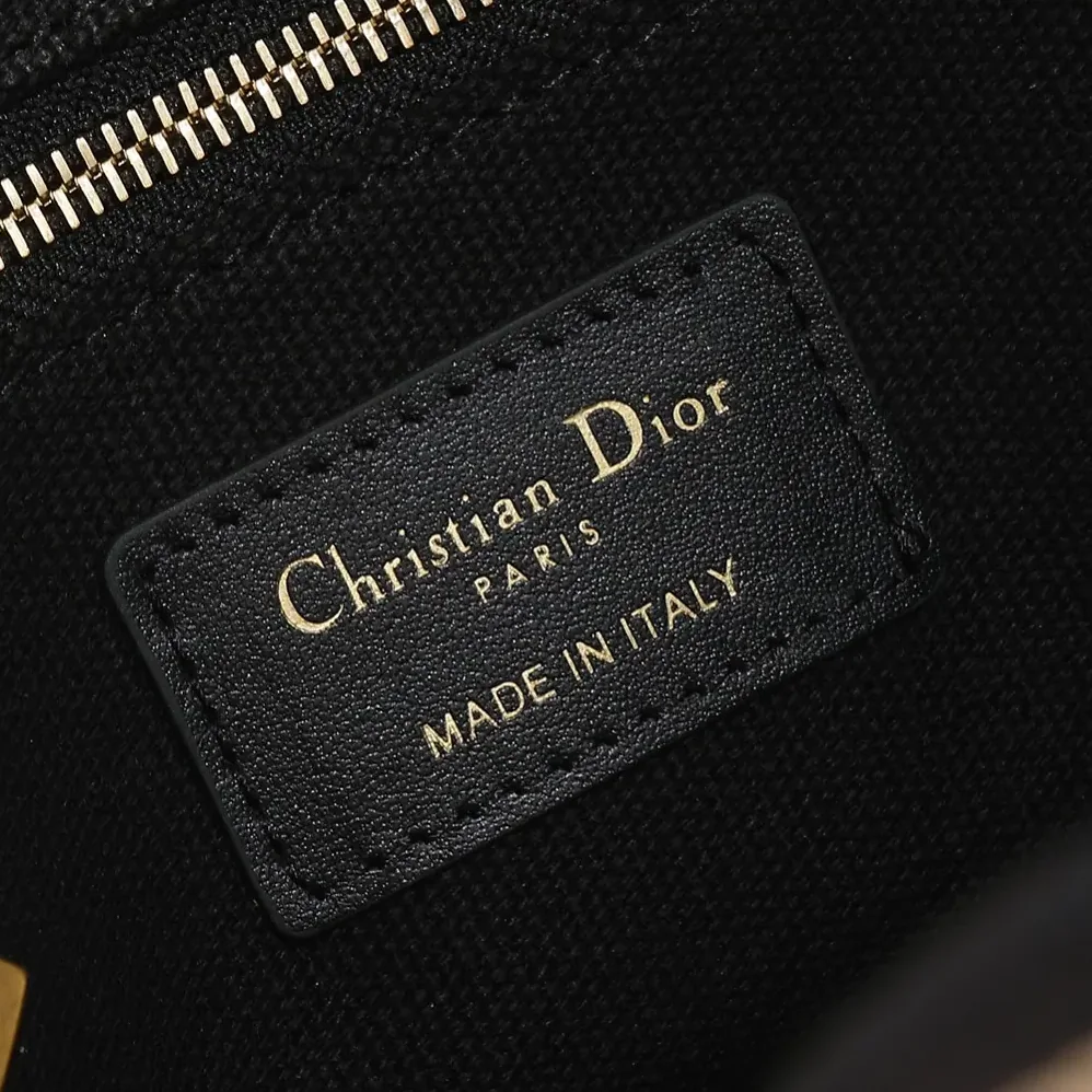 Dior Small Dior Book Tote Blue Dior Oblique Embroidery and Calfskin for Women