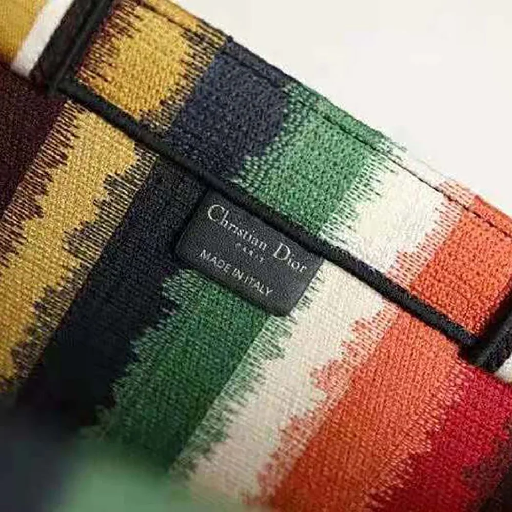 Dior Dior Book Tote Multicolor D for Women in Stripes Embroidery